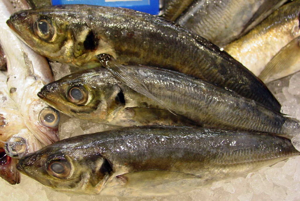 Article : Kinshasa dans l&rsquo;attente des surgelés : encore une promesse en demi-teinte ?